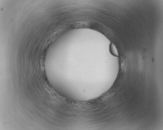 X0000051910819200507152028