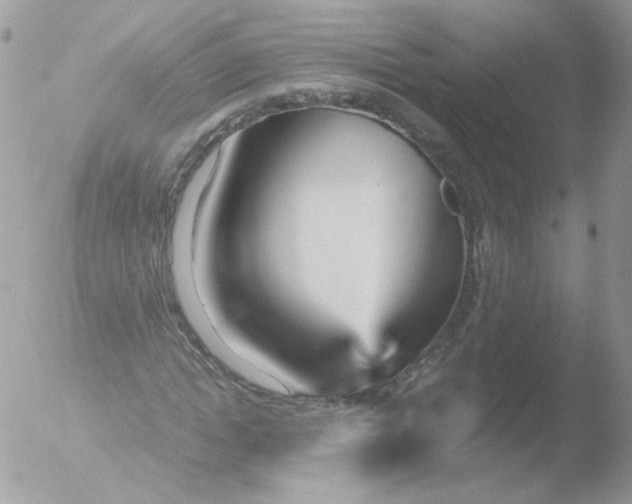 X0000051910822200507152028