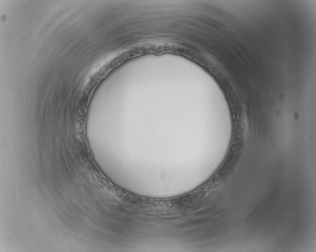 X0000051910823200507152028