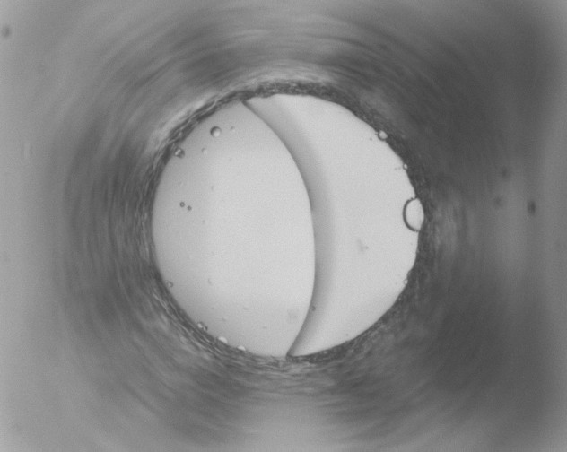 X0000051910824200507152028