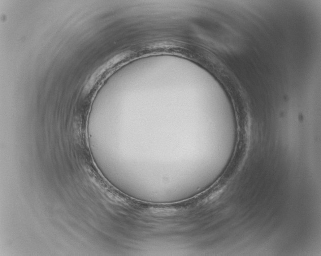 X0000051910825200507152028