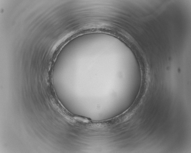 X0000051910826200507152028