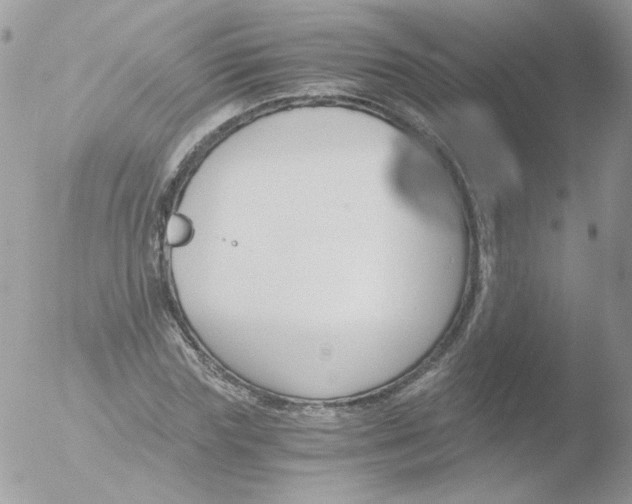 X0000051910827200507152028