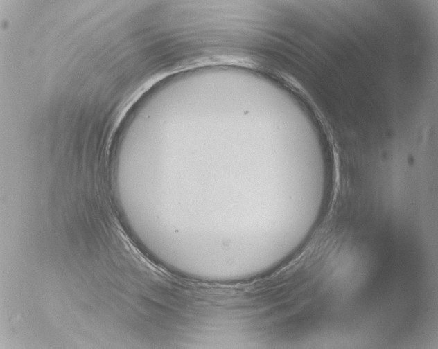 X0000051910828200507152028