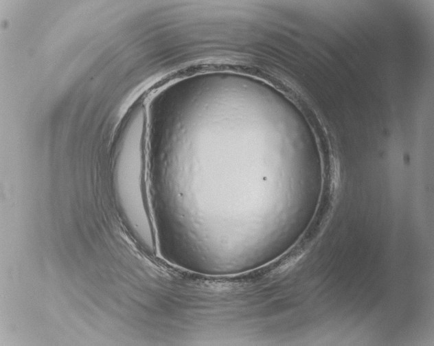 X0000051910829200507152028