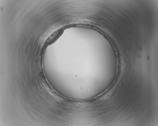 X0000051910830200507152028