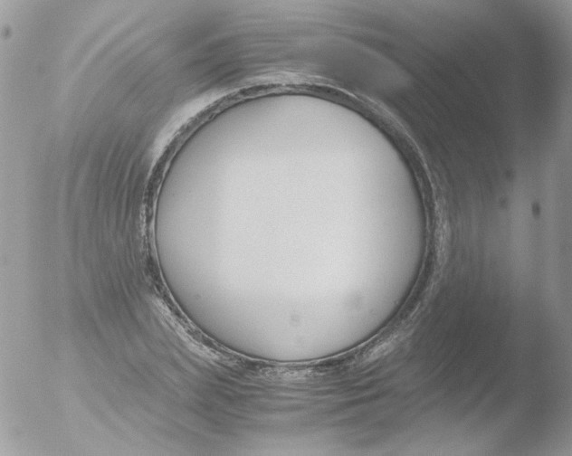 X0000051910831200507152028