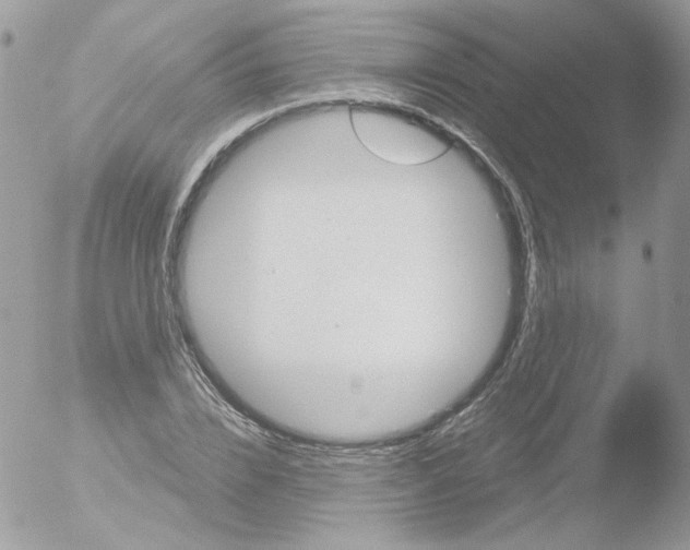 X0000051910832200507152029