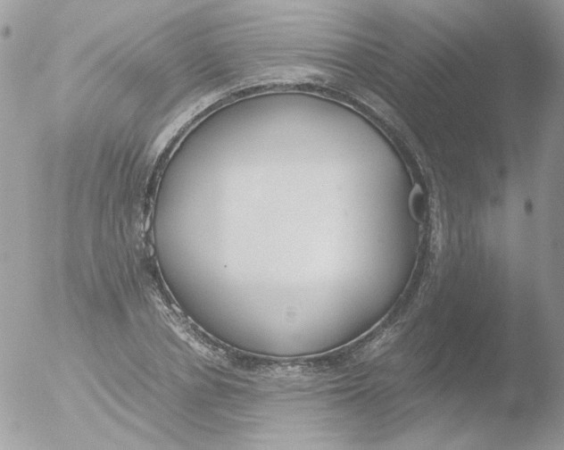 X0000051910834200507152029