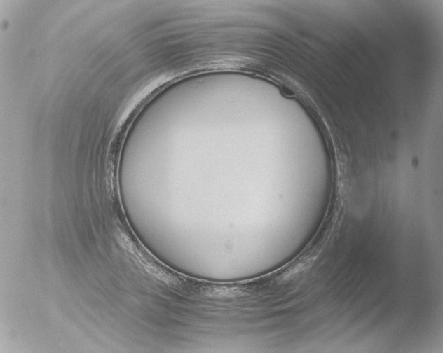 X0000051910835200507152029