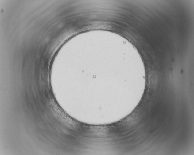 X0000051910836200507152029