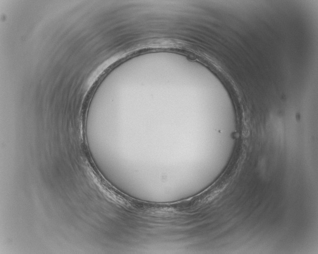 X0000051910837200507152029