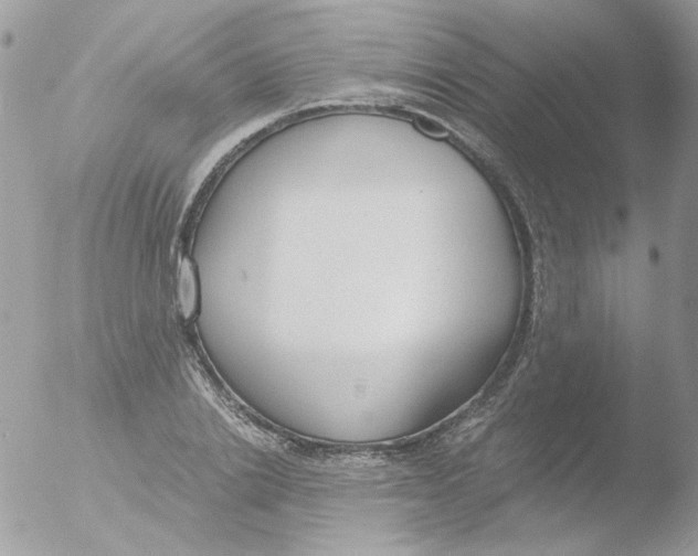 X0000051910838200507152029