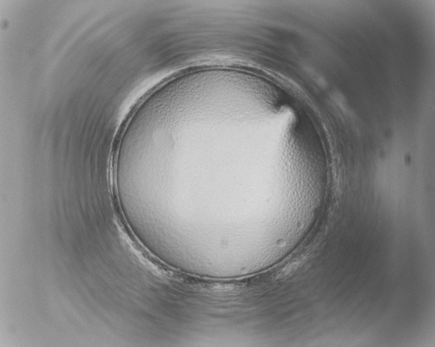 X0000051910839200507152029