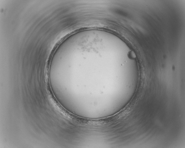 X0000051910840200507152029