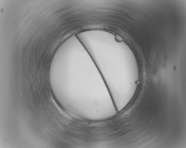 X0000051910841200507152029