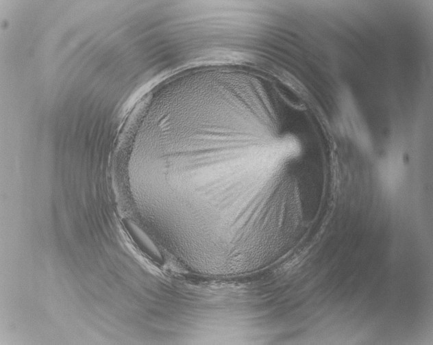 X0000051910842200507152029