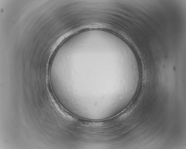 X0000051910845200507152029