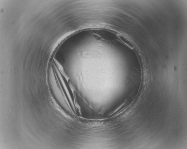 X0000051910846200507152029