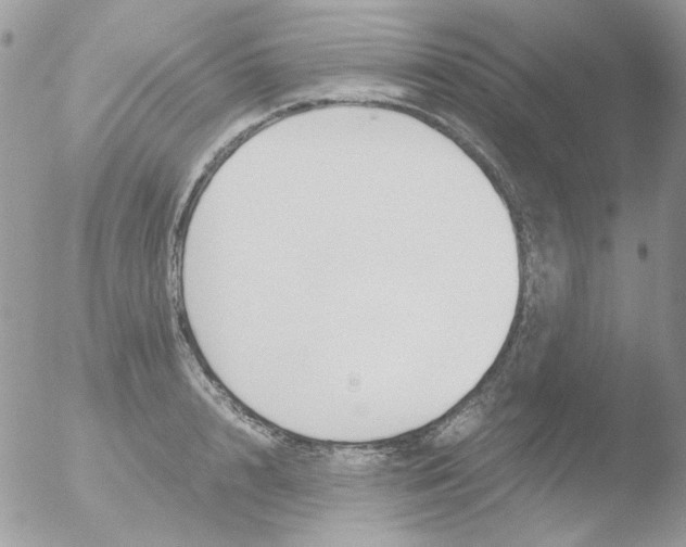 X0000051910848200507152029