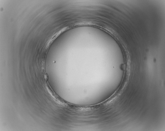 X0000051910849200507152029