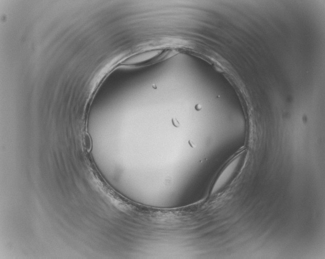 X0000051910850200507152029