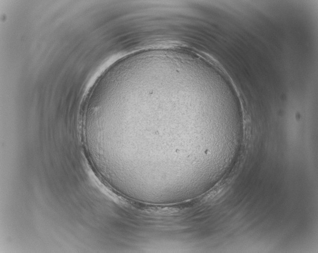 X0000051910851200507152029