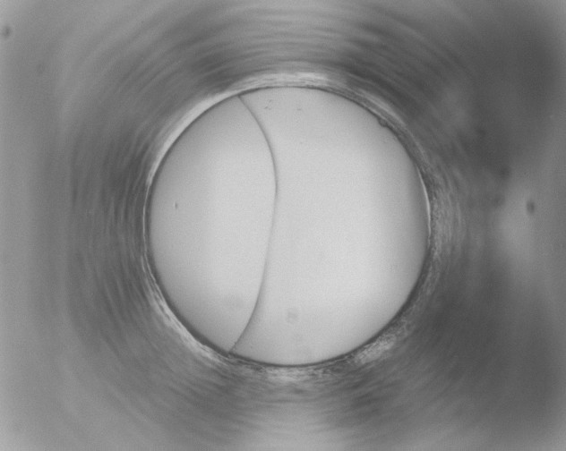 X0000051910852200507152029