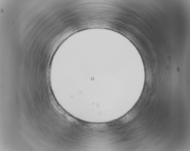 X0000051910856200507152029