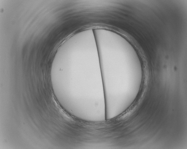 X0000051910857200507152029