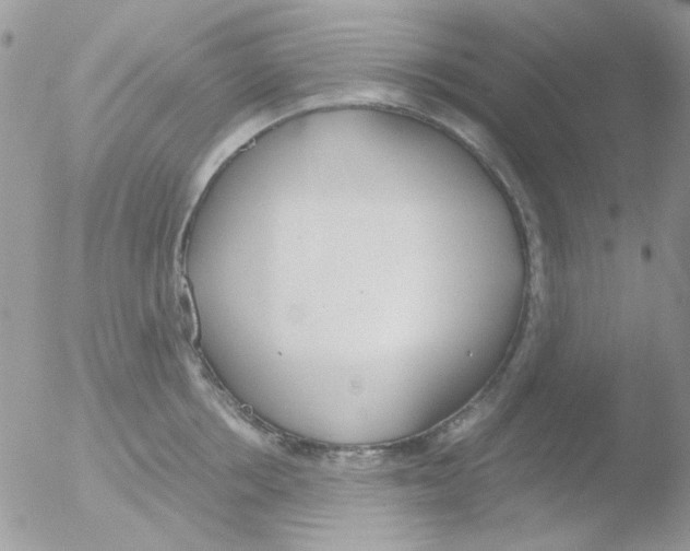 X0000051910858200507152029