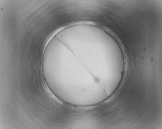 X0000051910860200507152029