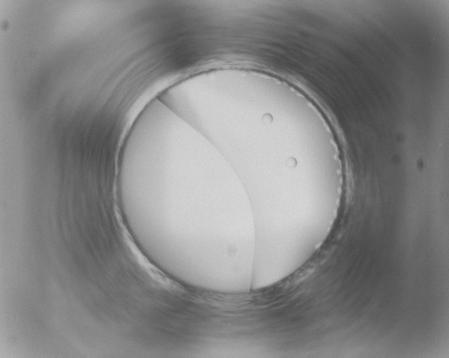 X0000051910861200507152029