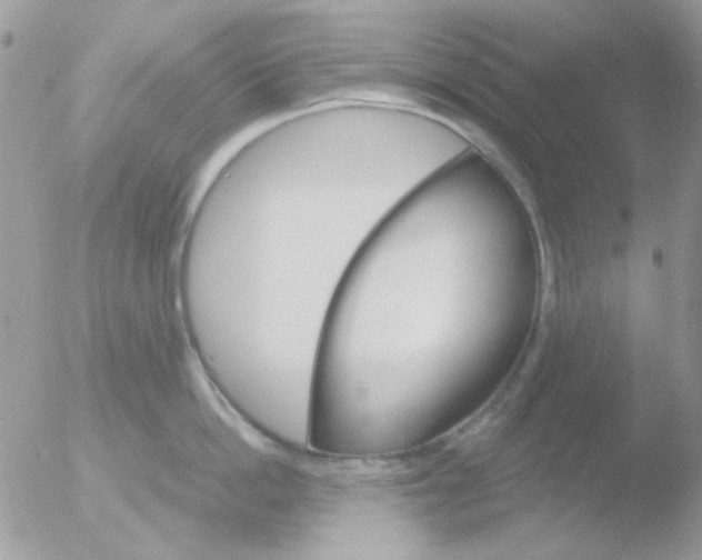 X0000051910862200507152029