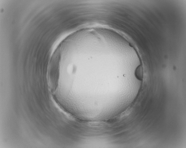 X0000051910863200507152029