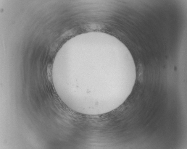 X0000051910866200507152028