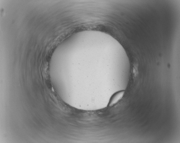 X0000051910867200507152028