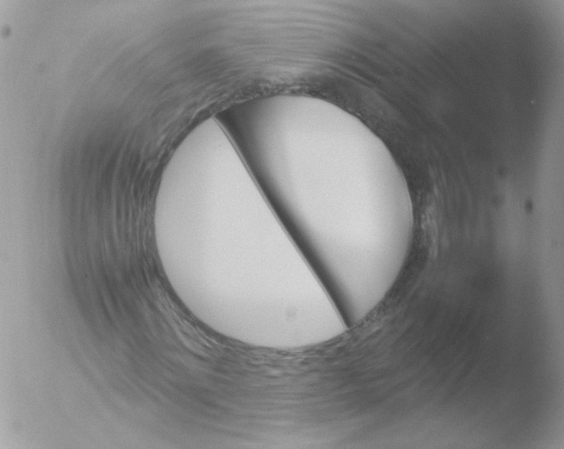 X0000051910868200507152028