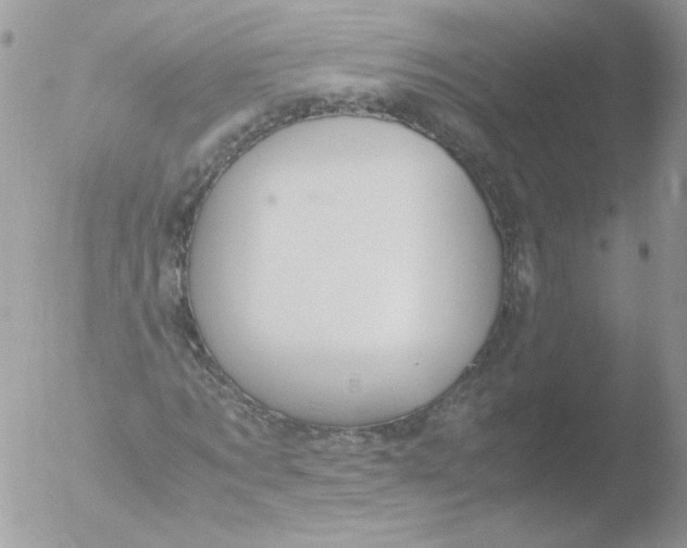 X0000051910869200507152028