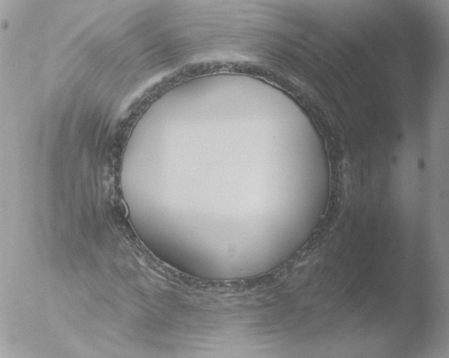 X0000051910872200507152028