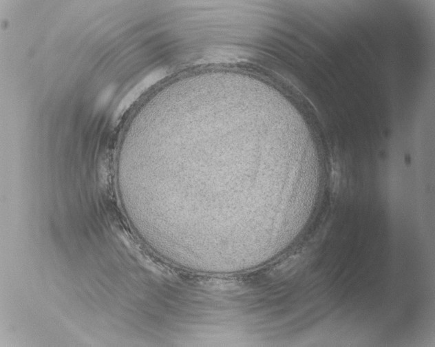 X0000051910874200507152028