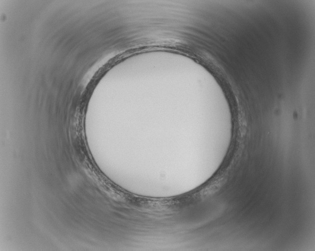 X0000051910875200507152028