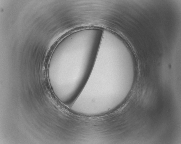 X0000051910876200507152028