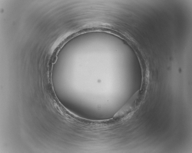 X0000051910877200507152028