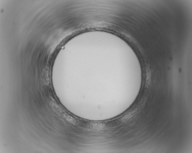 X0000051910878200507152028