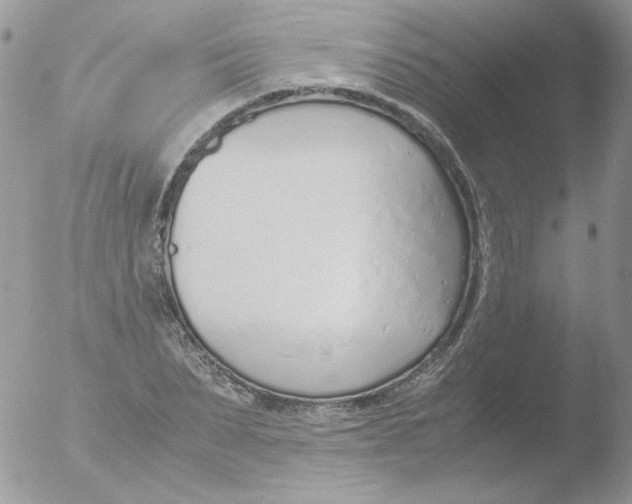 X0000051910879200507152028