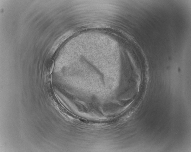 X0000051910881200507152028