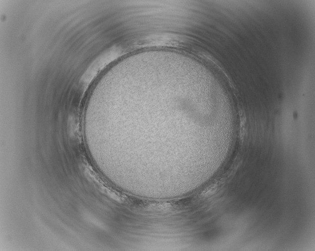 X0000051910882200507152028