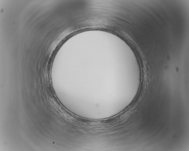 X0000051910883200507152028