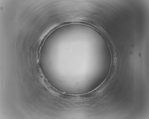 X0000051910885200507152028